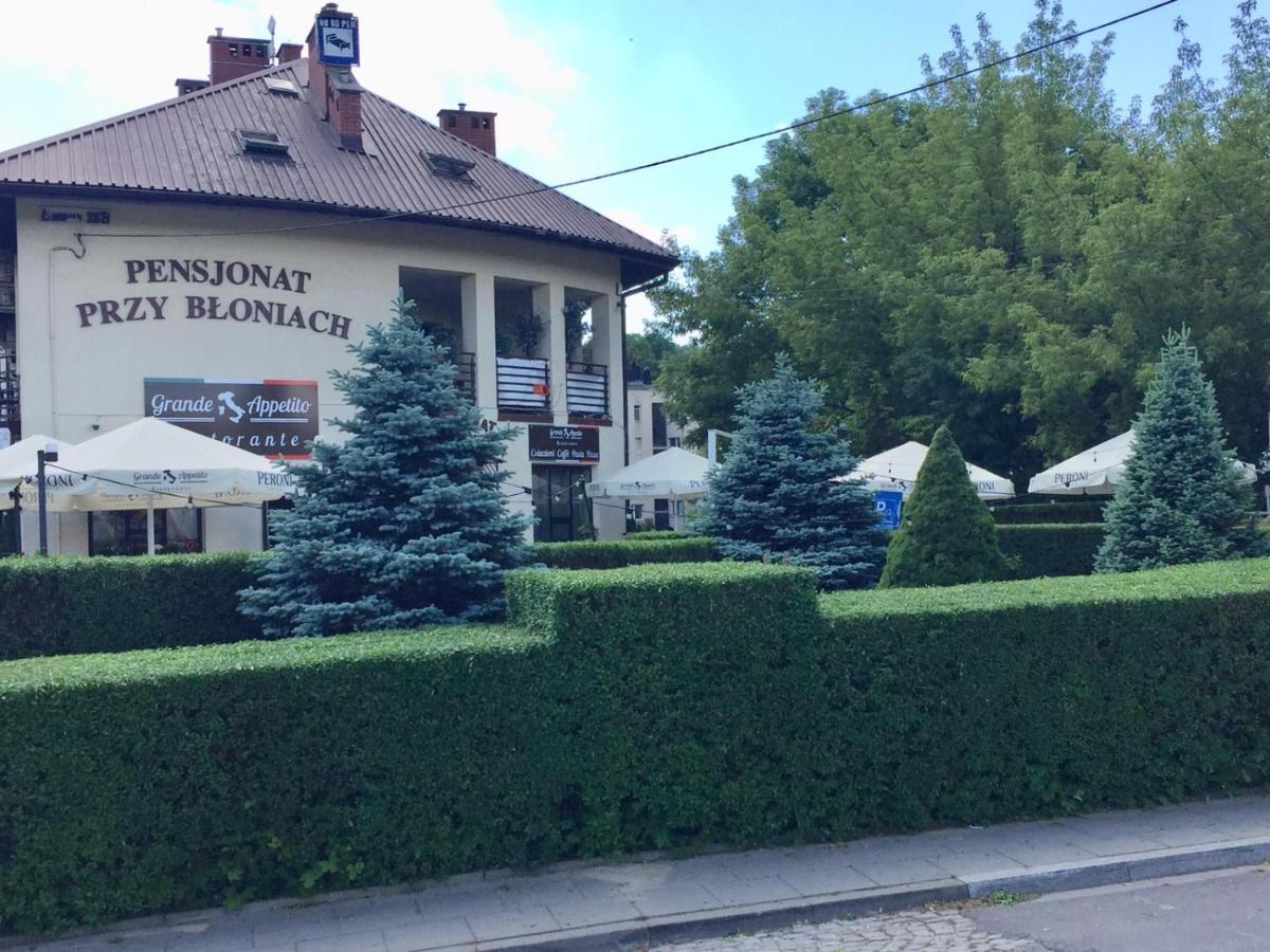 Penzion Przy Bloniach